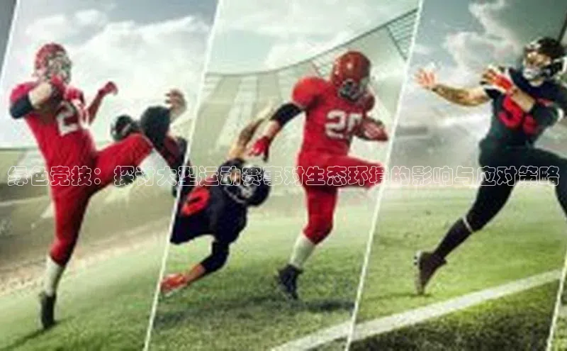 绿色竞技：探讨大型运动赛事对生态环境的影响与应对策略