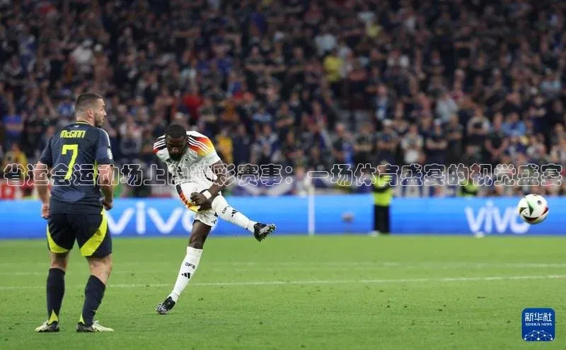 省运会运动场上的精彩赛事：一场体育盛宴的视觉盛宴