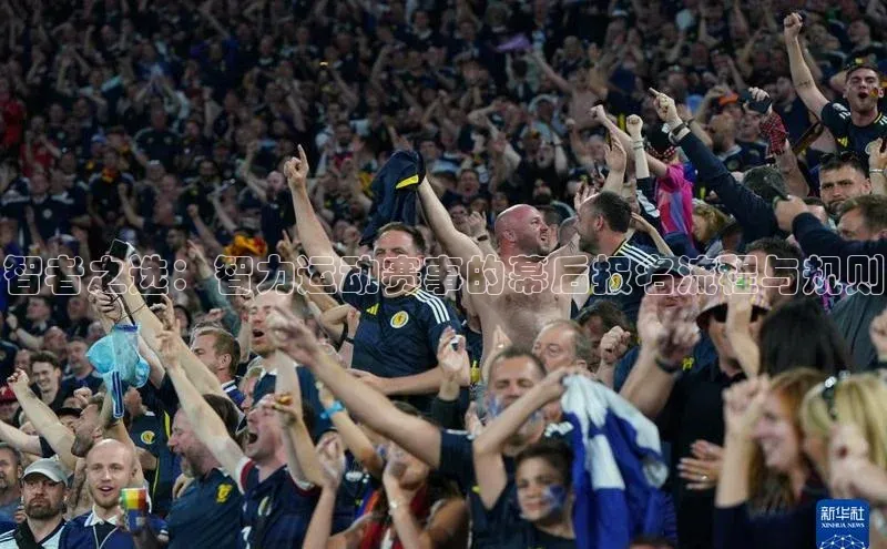 智者之选：智力运动赛事的幕后报名流程与规则