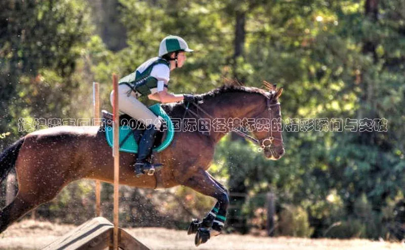 辉煌赛事回顾：2023年国际田径锦标赛的精彩瞬间与突破