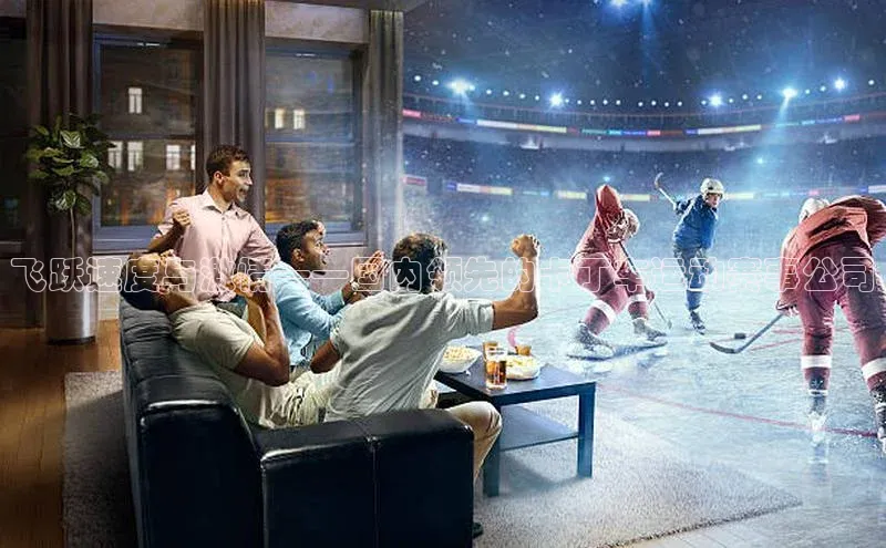 飞跃速度与激情——国内领先的卡丁车运动赛事公司