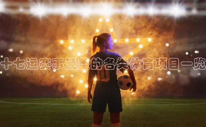 十七运赛事涵盖的各类体育项目一览