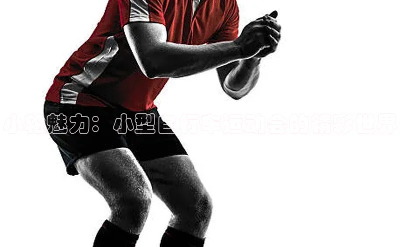 小轮魅力：小型自行车运动会的精彩世界