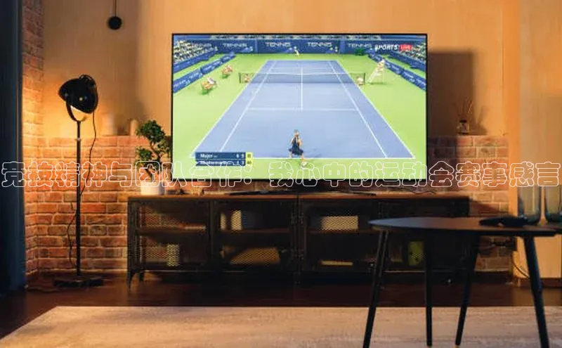 竞技精神与团队合作：我心中的运动会赛事感言