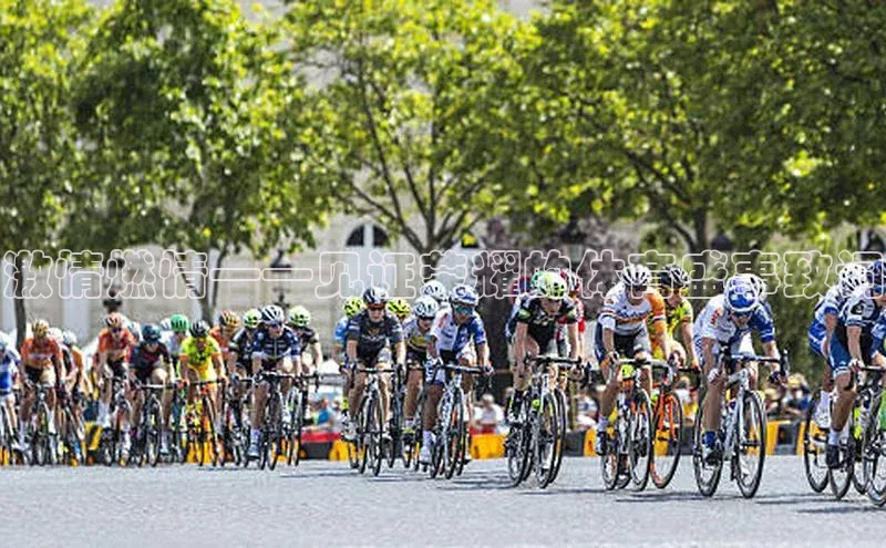 激情燃情——见证荣耀的体育盛事致词