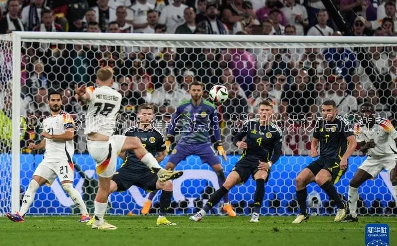 2024深圳运动赛事全景：城市的活力与激情