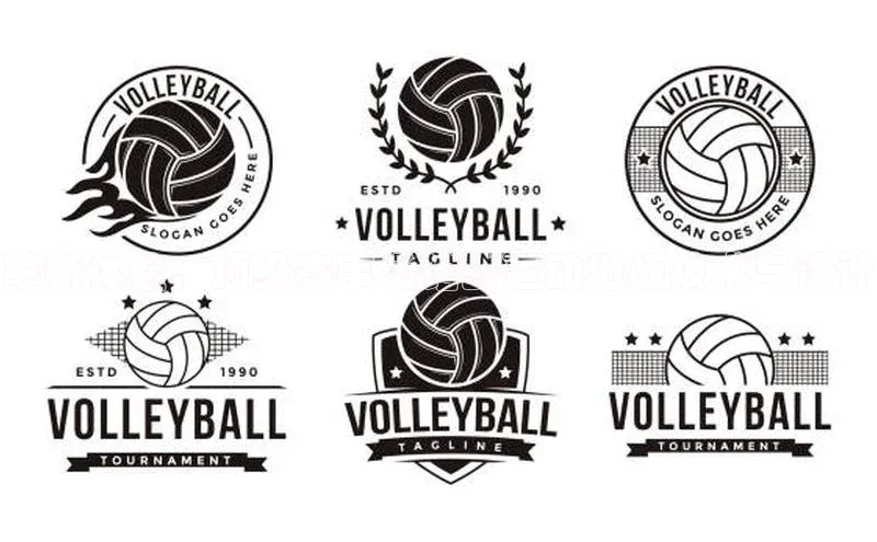 革新体验：顶级赛事场馆的运动地板技术与设计